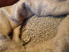 コーヒー生豆の画像
